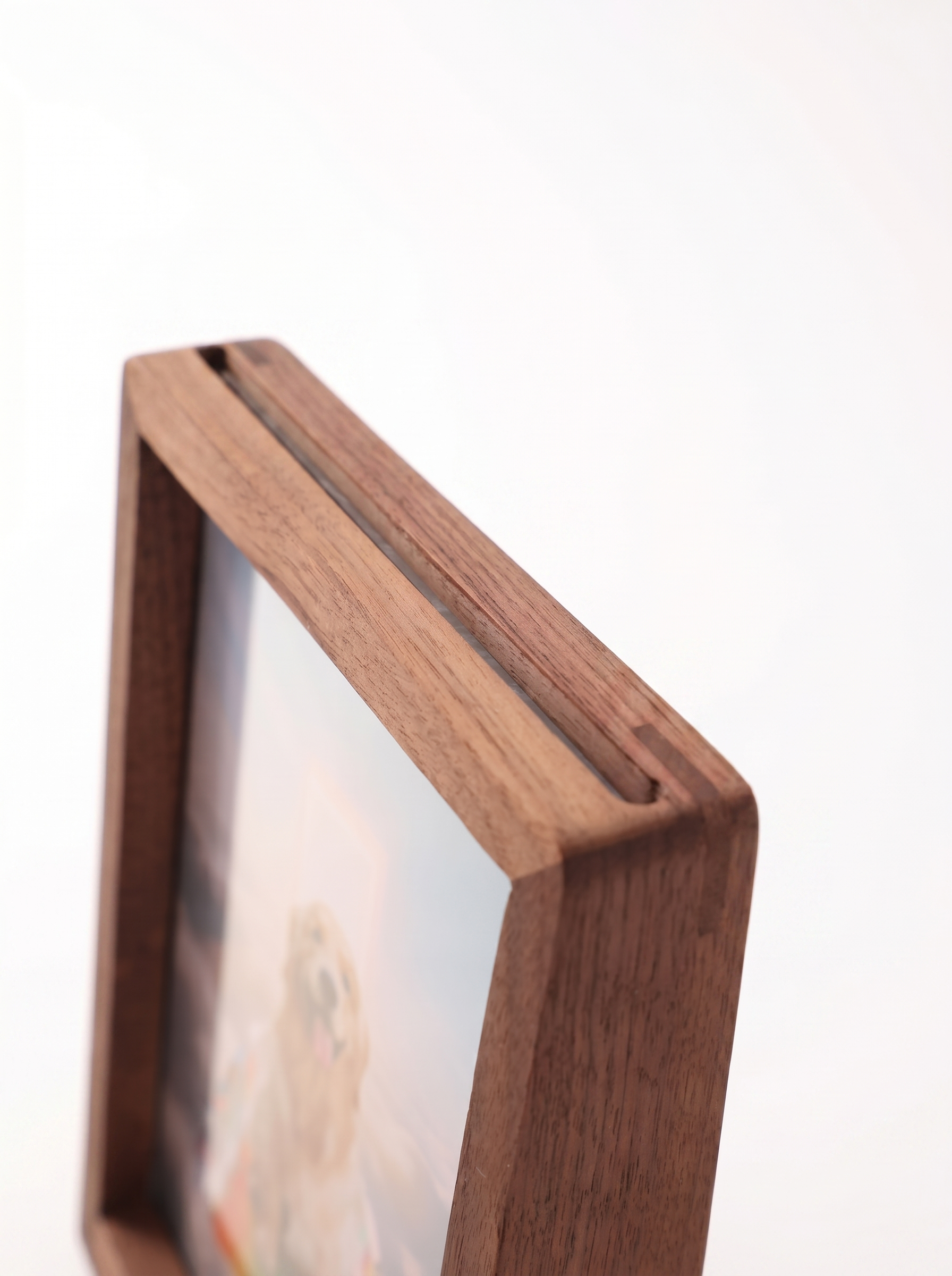 EverGlow™ AI Pet Memorial Frame